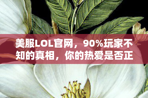 美服LOL官网,90%玩家不知的真相,你的热爱是否正被悄然吞噬? 美服LOL官网,90%玩家不知的真相,你的热爱是否正被悄然吞噬?