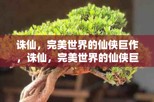 完美世界的仙侠巨作图片