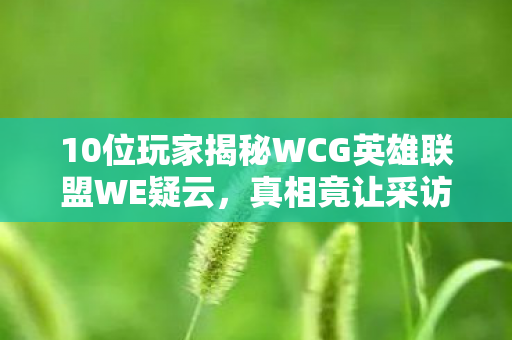 10位玩家揭秘WCG英雄联盟WE疑云,真相竟让采访者绷不住! 10位玩家揭秘WCG英雄联盟WE疑云,真相竟让采访者绷不住!