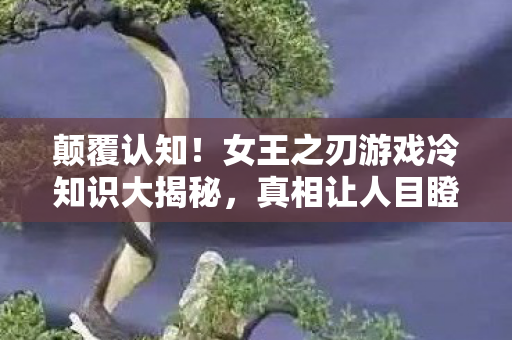 颠覆认知!女王之刃游戏冷知识大揭秘,真相让人目瞪口呆! 颠覆认知!女王之刃游戏冷知识大揭秘,真相让人目瞪口呆!