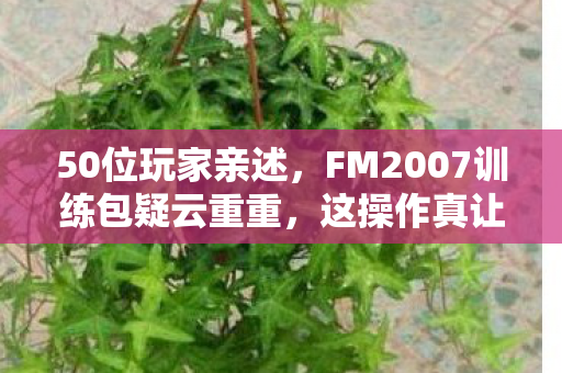50位玩家亲述,FM2007训练包疑云重重,这操作真让人绷不住! 50位玩家亲述,FM2007训练包疑云重重,这操作真让人绷不住!