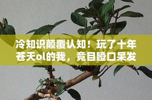 冷知识颠覆认知！玩了十年苍天ol的我，竟目瞪口呆发现……