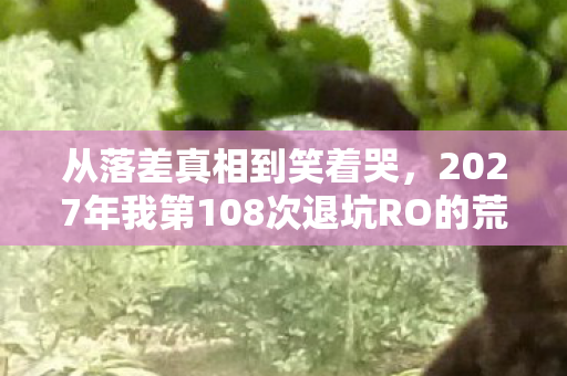 从落差真相到笑着哭，2027年我第108次退坑RO的荒诞剧