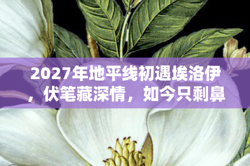 2027年地平线初遇埃洛伊，伏笔藏深情，如今只剩鼻子一酸
