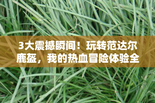 3大震撼瞬间！玩转范达尔鹿盔，我的热血冒险体验全揭秘！