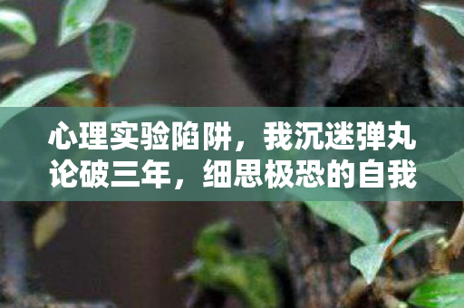 心理实验陷阱,我沉迷弹丸论破三年,细思极恐的自我囚禁 心理实验陷阱,我沉迷弹丸论破三年,细思极恐的自我囚禁