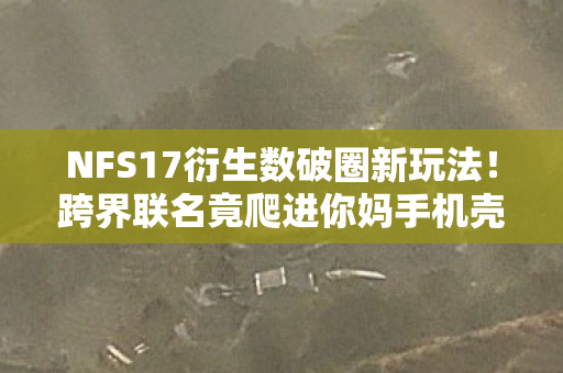 NFS17衍生数破圈新玩法!跨界联名竟爬进你妈手机壳,意想不到! NFS17衍生数破圈新玩法!跨界联名竟爬进你妈手机壳,意想不到!