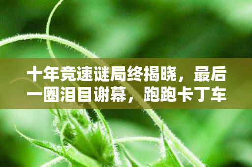 十年竞速谜局终揭晓,最后一圈泪目谢幕,跑跑卡丁车,再见! 十年竞速谜局终揭晓,最后一圈泪目谢幕,跑跑卡丁车,再见!