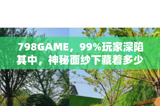 798GAME,99%玩家深陷其中,神秘面纱下藏着多少扎心真相? 798GAME,99%玩家深陷其中,神秘面纱下藏着多少扎心真相?