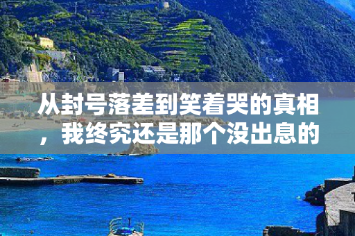 从封号落差到笑着哭的真相,我终究还是那个没出息的玩家 从封号落差到笑着哭的真相,我终究还是那个没出息的玩家