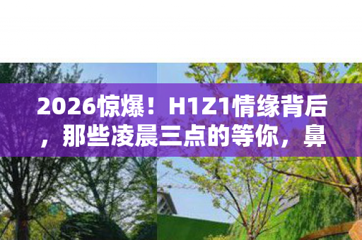 2026惊爆!H1Z1情缘背后,那些凌晨三点的等你,鼻子一酸竟成真 2026惊爆!H1Z1情缘背后,那些凌晨三点的等你,鼻子一酸竟成真