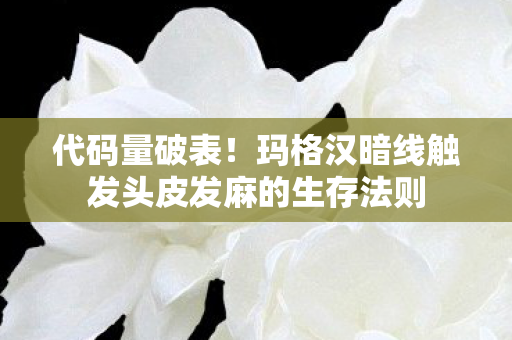代码量破表!玛格汉暗线触发头皮发麻的生存法则 代码量破表!玛格汉暗线触发头皮发麻的生存法则