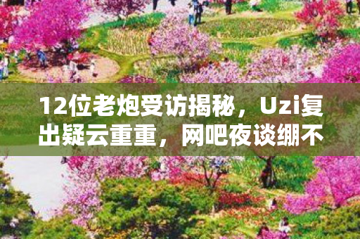 12位老炮受访揭秘，Uzi复出疑云重重，网吧夜谈绷不住真相！