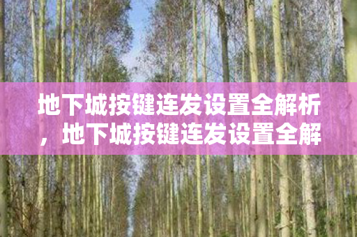地下城按键连发设置全解析,地下城按键连发设置全解析,打造流畅游戏体验 地下城按键连发设置全解析,地下城按键连发设置全解析,打造流畅游戏体验