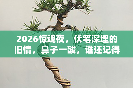 2026惊魂夜，伏笔深埋的旧情，鼻子一酸，谁还记得那年并肩？