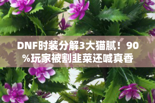 DNF时装分解3大猫腻!90%玩家被割韭菜还喊真香 DNF时装分解3大猫腻!90%玩家被割韭菜还喊真香