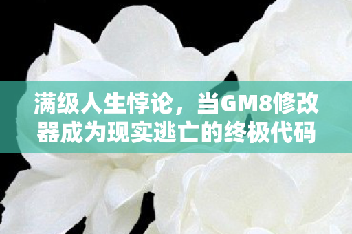 满级人生悖论,当GM8修改器成为现实逃亡的终极代码 满级人生悖论,当GM8修改器成为现实逃亡的终极代码