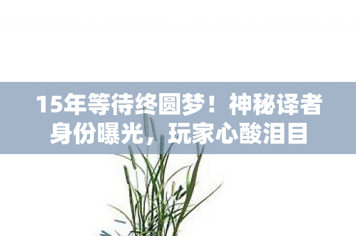 15年等待终圆梦!神秘译者身份曝光,玩家心酸泪目 15年等待终圆梦!神秘译者身份曝光,玩家心酸泪目