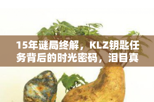 15年谜局终解，KLZ钥匙任务背后的时光密码，泪目真相即将揭晓