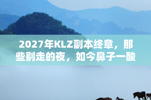 2027年KLZ副本终章,那些别走的夜,如今鼻子一酸只剩回响 2027年KLZ副本终章,那些别走的夜,如今鼻子一酸只剩回响