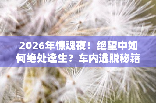2026年惊魂夜！绝望中如何绝处逢生？车内逃脱秘籍大揭秘！