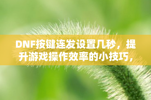 DNF按键连发设置几秒,提升游戏操作效率的小技巧,DNF按键连发设置技巧,提升游戏操作效率的小妙招 DNF按键连发设置几秒,提升游戏操作效率的小技巧,DNF按键连发设置技巧,提升游戏操作效率的小妙招