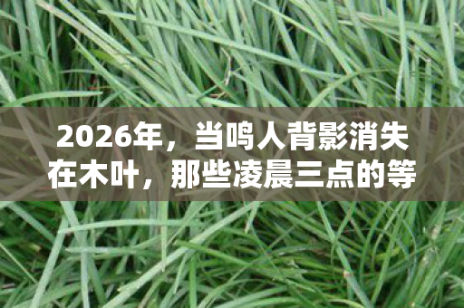 2026年,当鸣人背影消失在木叶,那些凌晨三点的等你让我鼻子一酸 2026年,当鸣人背影消失在木叶,那些凌晨三点的等你让我鼻子一酸