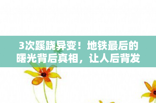 3次蹊跷异变!地铁最后的曙光背后真相,让人后背发凉 3次蹊跷异变!地铁最后的曙光背后真相,让人后背发凉