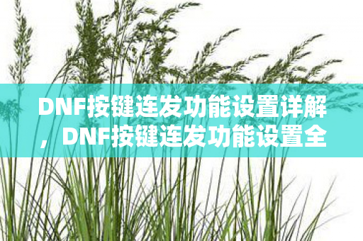 DNF按键连发功能设置详解,DNF按键连发功能设置全解析 DNF按键连发功能设置详解,DNF按键连发功能设置全解析