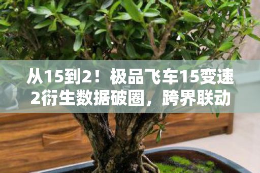从15到2!极品飞车15变速2衍生数据破圈,跨界联动意想不到 从15到2!极品飞车15变速2衍生数据破圈,跨界联动意想不到