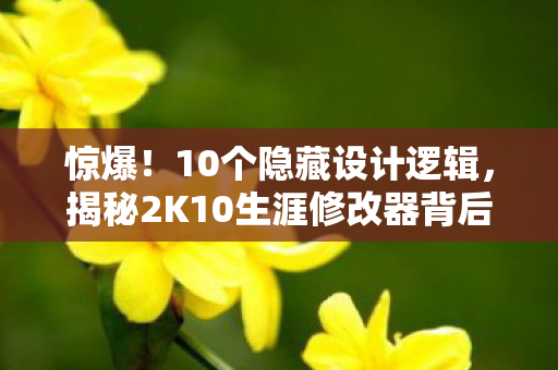 惊爆!10个隐藏设计逻辑,揭秘2K10生涯修改器背后的疯狂真相! 惊爆!10个隐藏设计逻辑,揭秘2K10生涯修改器背后的疯狂真相!