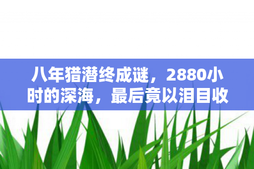 八年猎潜终成谜,2880小时的深海,最后竟以泪目收场? 八年猎潜终成谜,2880小时的深海,最后竟以泪目收场?