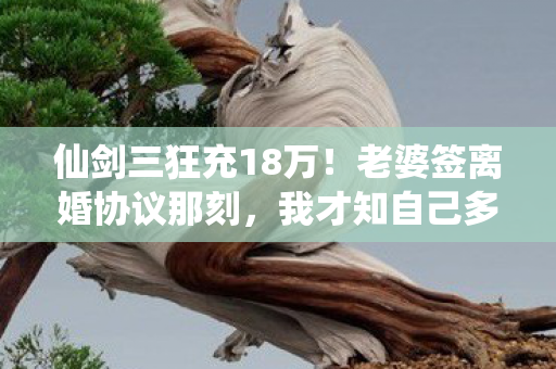 仙剑三狂充18万!老婆签离婚协议那刻,我才知自己多疯! 仙剑三狂充18万!老婆签离婚协议那刻,我才知自己多疯!