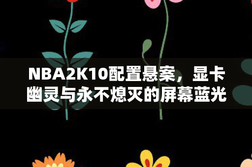 NBA2K10配置悬案,显卡幽灵与永不熄灭的屏幕蓝光 NBA2K10配置悬案,显卡幽灵与永不熄灭的屏幕蓝光