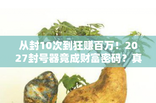 从封10次到狂赚百万!2027封号器竟成财富密码?真相让人窒息 从封10次到狂赚百万!2027封号器竟成财富密码?真相让人窒息