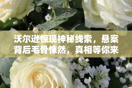 沃尔逊惊现神秘线索,悬案背后毛骨悚然,真相等你来揭! 沃尔逊惊现神秘线索,悬案背后毛骨悚然,真相等你来揭!