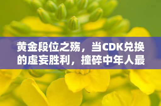 黄金段位之殇,当CDK兑换的虚妄胜利,撞碎中年人最后的尊严围墙 黄金段位之殇,当CDK兑换的虚妄胜利,撞碎中年人最后的尊严围墙