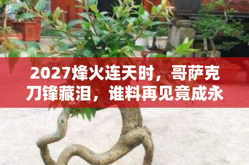 2027烽火连天时,哥萨克刀锋藏泪,谁料再见竟成永别 2027烽火连天时,哥萨克刀锋藏泪,谁料再见竟成永别