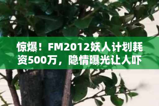 惊爆!FM2012妖人计划耗资500万,隐情曝光让人吓一跳! 惊爆!FM2012妖人计划耗资500万,隐情曝光让人吓一跳!