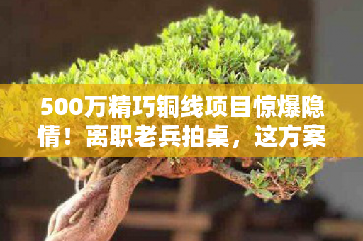 500万精巧铜线项目惊爆隐情!离职老兵拍桌,这方案早该枪毙! 500万精巧铜线项目惊爆隐情!离职老兵拍桌,这方案早该枪毙!