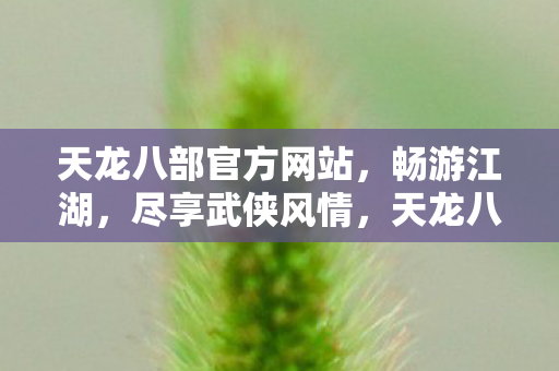 天龙八部官方网站图片