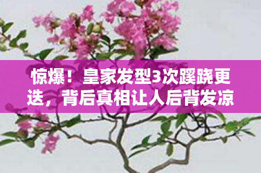 惊爆!皇家发型3次蹊跷更迭,背后真相让人后背发凉! 惊爆!皇家发型3次蹊跷更迭,背后真相让人后背发凉!