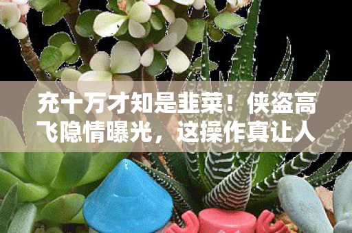 充十万才知是韭菜!侠盗高飞隐情曝光,这操作真让人吓一跳! 充十万才知是韭菜!侠盗高飞隐情曝光,这操作真让人吓一跳!