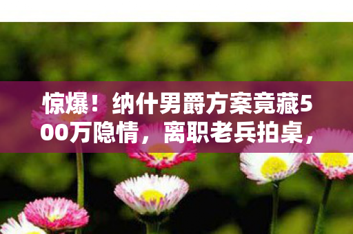 惊爆!纳什男爵方案竟藏500万隐情,离职老兵拍桌,这操作吓我一跳! 惊爆!纳什男爵方案竟藏500万隐情,离职老兵拍桌,这操作吓我一跳!