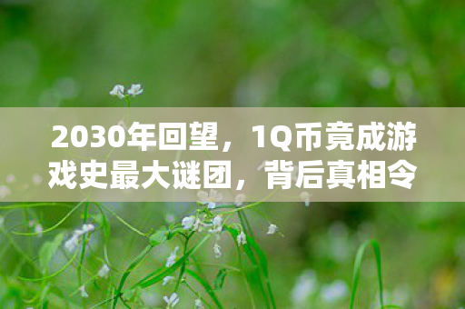 2030年回望,1Q币竟成游戏史最大谜团,背后真相令人窒息! 2030年回望,1Q币竟成游戏史最大谜团,背后真相令人窒息!