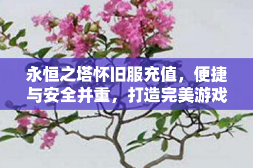 永恒之塔怀旧服充值,便捷与安全并重,打造完美游戏体验,永恒之塔怀旧服充值,便捷安全,打造完美游戏体验 永恒之塔怀旧服充值,便捷与安全并重,打造完美游戏体验,永恒之塔怀旧服充值,便捷安全,打造完美游戏体验