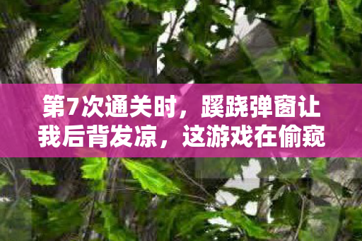 第7次通关时,蹊跷弹窗让我后背发凉,这游戏在偷窥我的生活? 第7次通关时,蹊跷弹窗让我后背发凉,这游戏在偷窥我的生活?