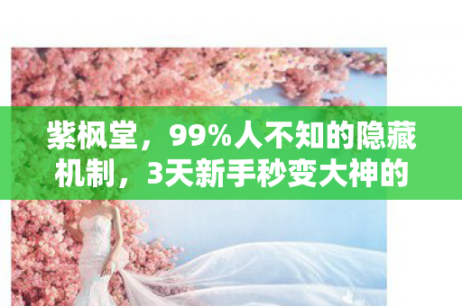 紫枫堂，99%人不知的隐藏机制，3天新手秒变大神的逆袭密码！