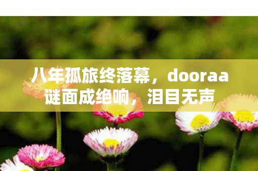 八年孤旅终落幕,dooraa谜面成绝响,泪目无声 八年孤旅终落幕,dooraa谜面成绝响,泪目无声