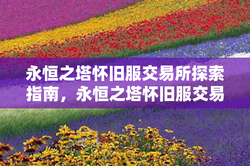 永恒之塔怀旧服交易所探索指南,永恒之塔怀旧服交易所全面探索指南 永恒之塔怀旧服交易所探索指南,永恒之塔怀旧服交易所全面探索指南